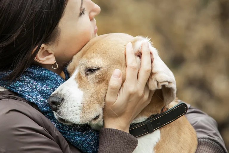 een hond met parasieten knuffelen